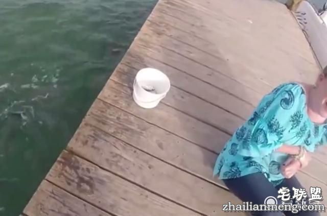 女子在河边喂鱼 下一秒整只手就进了鱼嘴里！