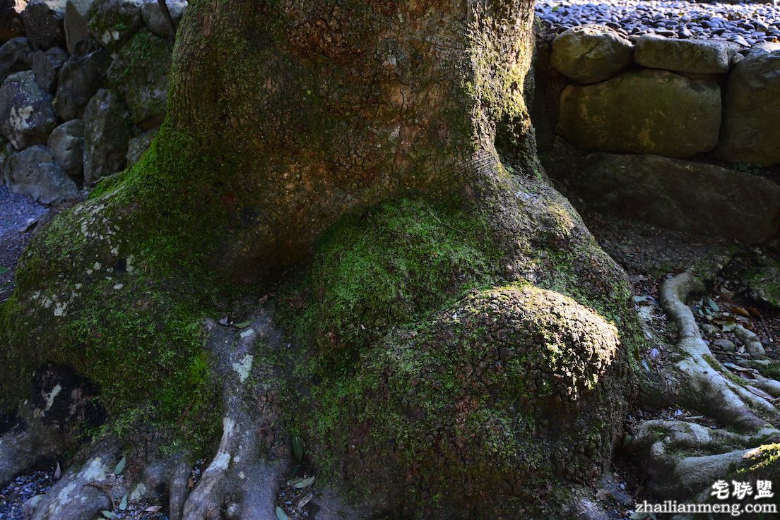 伊势 日夜兼程:第五日上午,参访伊势神宫@wildgun的2016早春关西游记