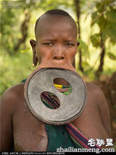 吓人!全球上最大的唇盘 称嘴大陪嫁的牛畜越多! 吓人!全球上最大的唇盘 称嘴大陪嫁的牛畜越多!