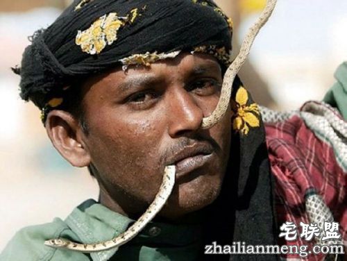 探秘!蛇人部落 毒蛇当嫁妆! 探秘!蛇人部落 毒蛇当嫁妆!