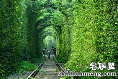 南京江宁的爱情隧道美翻了,不去后悔！