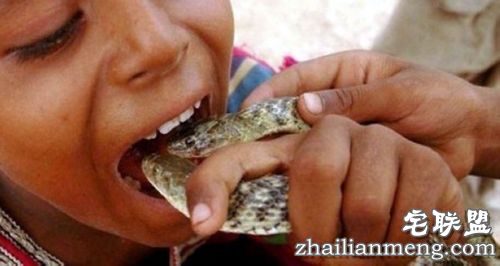 探秘!蛇人部落 毒蛇当嫁妆! 探秘!蛇人部落 毒蛇当嫁妆!