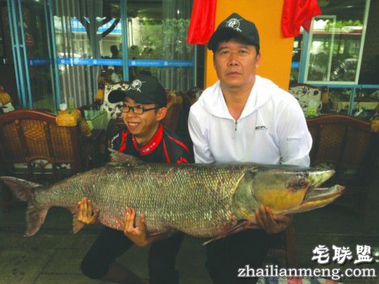 成都父子钓起百斤鳡鱼 较量3小时险被大鱼拉走 成都父子钓起百斤鳡鱼 较量3小时险被大鱼拉走
