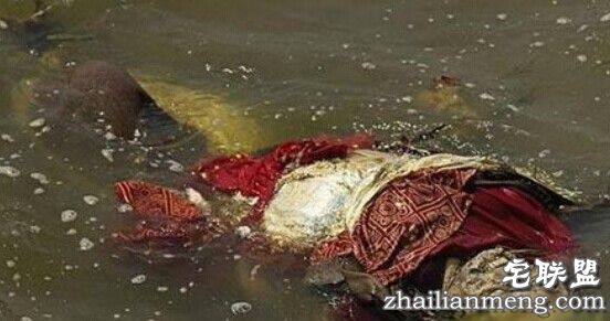 令人恶心的印度水葬:尸体被野狗随意啃食 能看完算你牛逼! 令人恶心的印度水葬:尸体被野狗随意啃食 能看完算你牛逼!