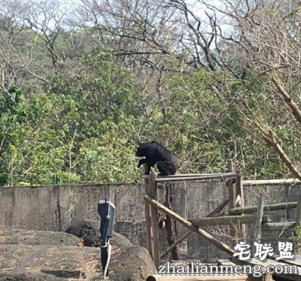 遭家暴30年不离婚,说:熬到打不动就好了。 遭家暴30年不离婚,说:熬到打不动就好了。