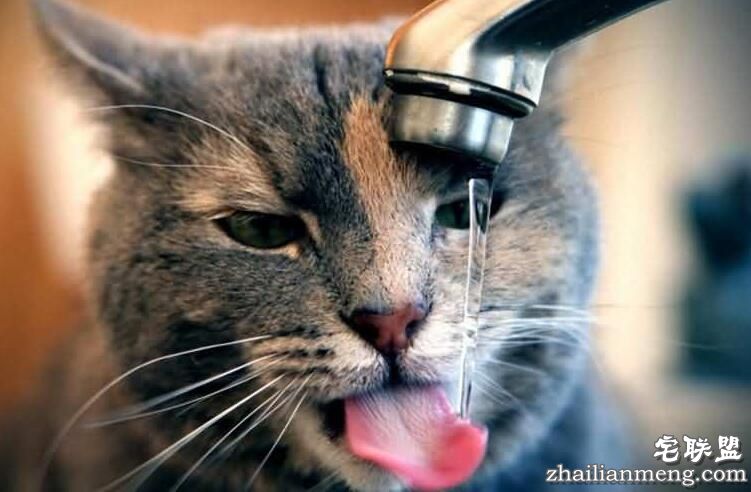 喝水小常识:多喝水的好处及喝水的最佳时间表 喝水小常识:多喝水的好处及喝水的最佳时间表