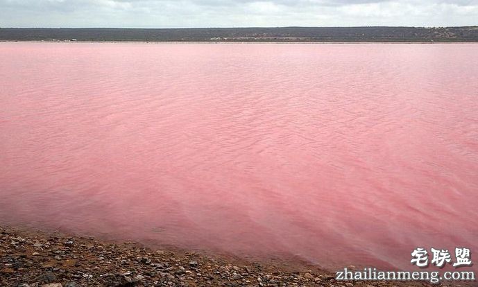 澳大利亚粉色希勒湖 世上最浪漫的风景圣地! 澳大利亚粉色希勒湖 世上最浪漫的风景圣地!