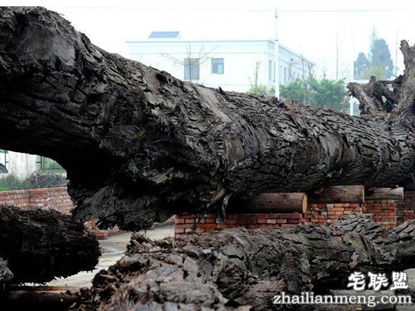 乌木有什么作用? 乌木有什么作用?