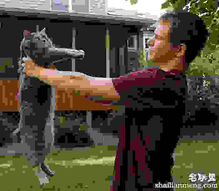 没有女伴用猫代替 美18岁男生携爱猫出席舞会 