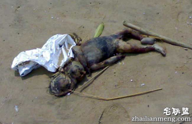 世上水猴子真的存在吗?以为是吓唬人的把戏,没想到真的存在 世上水猴子真的存在吗?以为是吓唬人的把戏,没想到真的存在