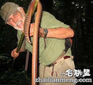 怪物级!巨型蚯蚓长达1.5米吓死人! 怪物级!巨型蚯蚓长达1.5米吓死人!