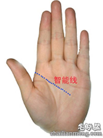 男人看手相算命图解:教你如何看男人手相 男人看手相算命图解:教你如何看男人手相