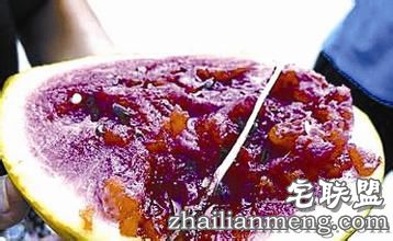 切开西瓜肚内长18厘米长小草 奇特现象! 切开西瓜肚内长18厘米长小草 奇特现象!