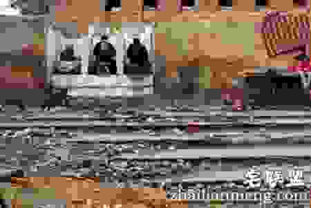 每天有6亿人露天“方便”,印度人怎么就受得了?