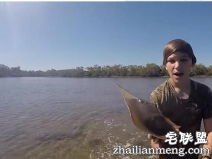 小孩海边玩耍时在水中发现鲨鱼,没想到竟然赤手空拳把它抓起!