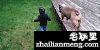 人类和喵星人的逗趣日常 这只猫都长成猪了！