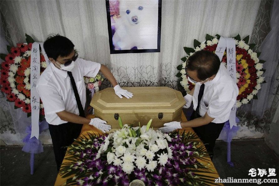 上海现宠物狗最豪华葬礼 百万豪车送行 上海现宠物狗最豪华葬礼 百万豪车送行