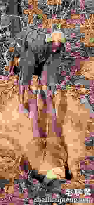 男子在野外看到一奇怪洞穴,没想到进去下一秒被吓傻了