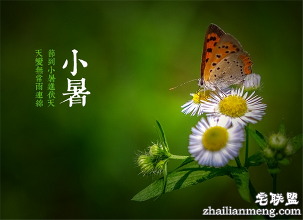 小暑节气谚语大全 句句是真理啊! 小暑节气谚语大全 句句是真理啊!