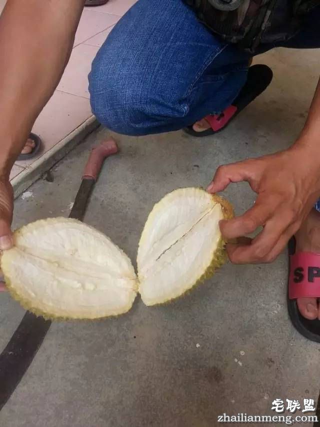 一哥们特别开心说,他花费7元就在网上买到了一个榴莲|呵呵