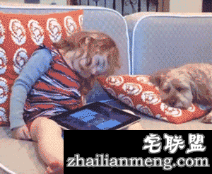 人类和喵星人的逗趣日常 这只猫都长成猪了！