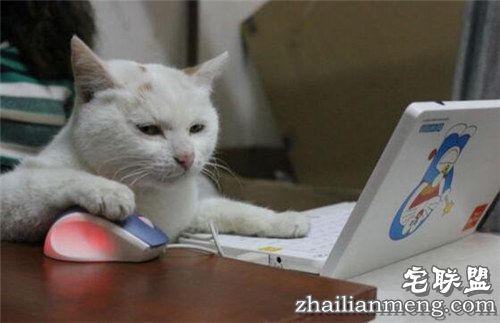 2016年最新网络流行语 句句经典 2016年最新网络流行语 句句经典