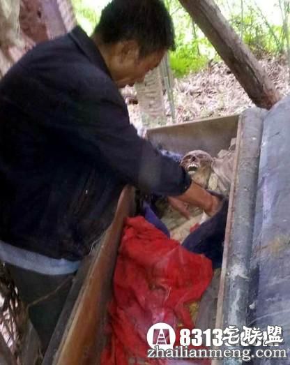 四川一女子死16年遗体不腐之谜 四川一女子死16年遗体不腐之谜