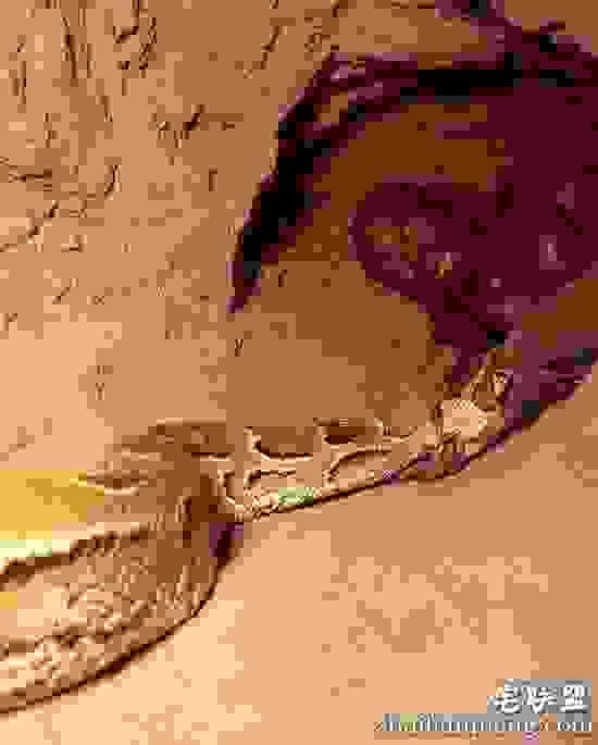 男子在野外看到一奇怪洞穴,没想到进去下一秒被吓傻了