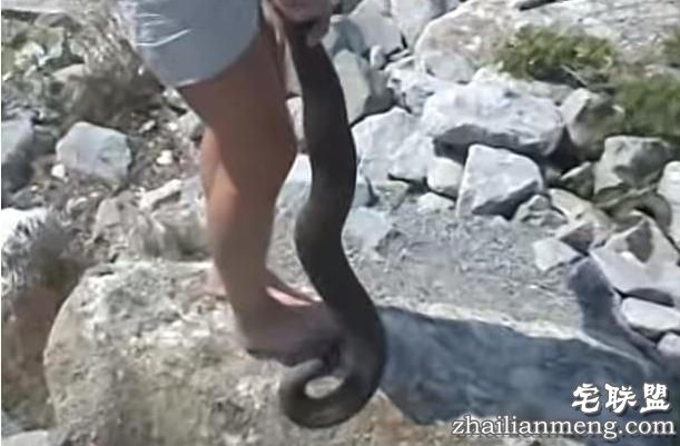 开始不知道她趴在湖边干嘛,但是接下来她的行为令人难以置信!