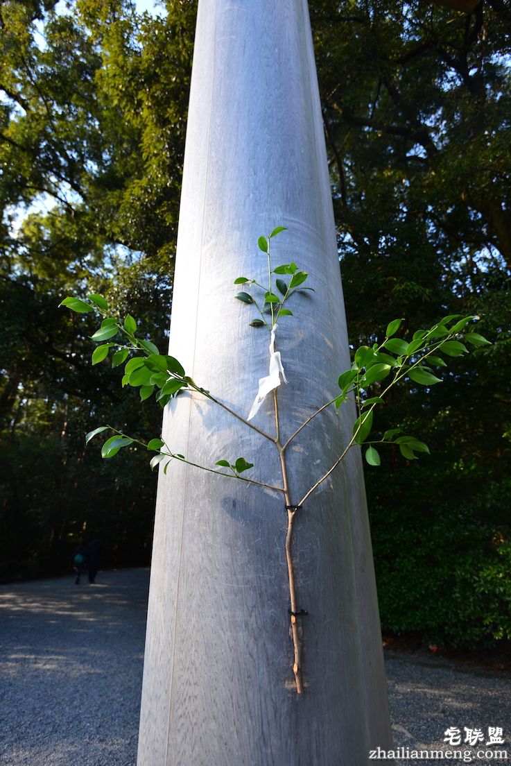 日夜兼程：第五日上午，参访伊势神宫@wildgun的2016早春关西游记