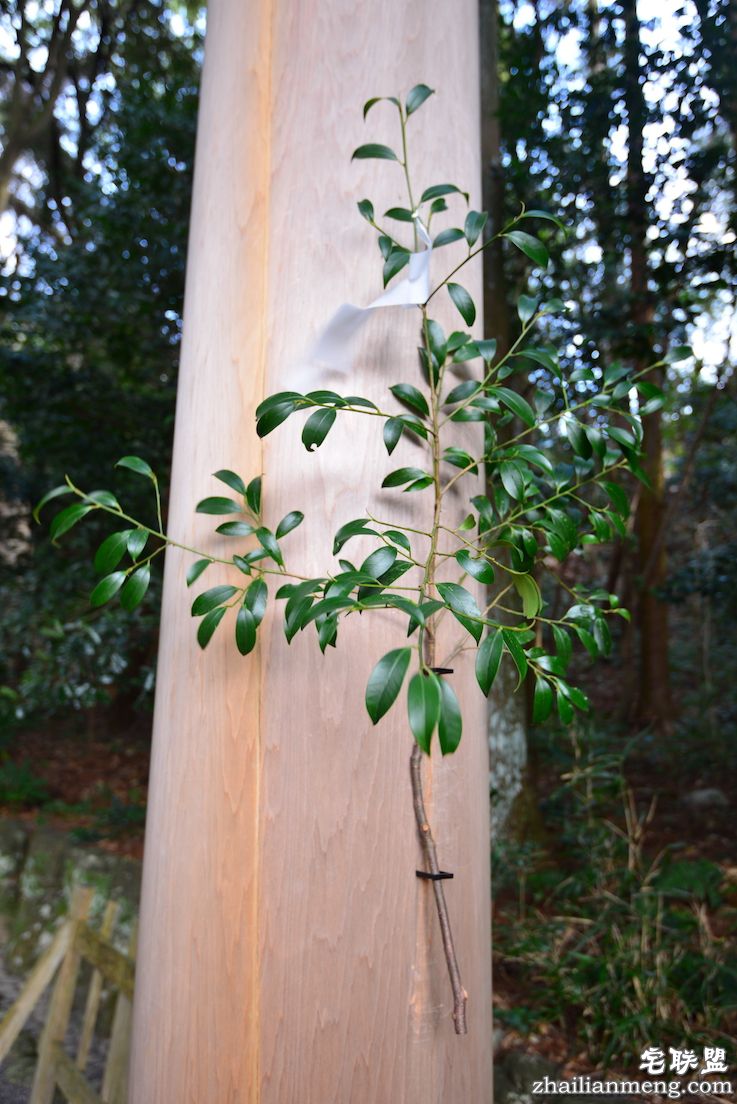 伊势神宫 月读宫 日夜兼程:第五日上午,参访伊势神宫@wildgun的2016早春关西游记