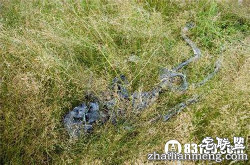 10个全球上最恐怖的地方曝光 够胆来闯! 10个全球上最恐怖的地方曝光 够胆来闯!