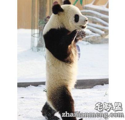 遭家暴30年不离婚,说:熬到打不动就好了。 遭家暴30年不离婚,说:熬到打不动就好了。