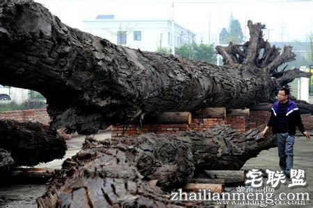 乌木有什么作用? 乌木有什么作用?