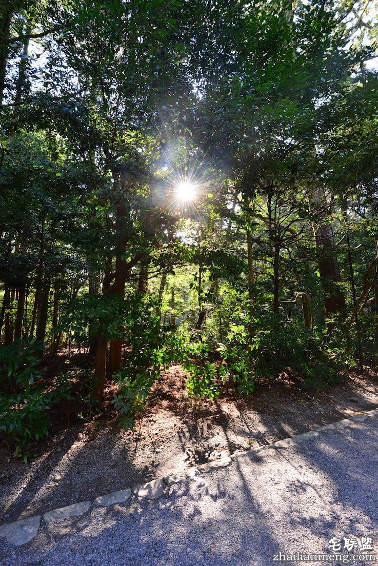 伊势 日夜兼程:第五日上午,参访伊势神宫@wildgun的2016早春关西游记