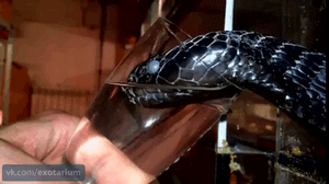 糗GIF榜:当你遇到前男友时,要不要这么夸张 ~