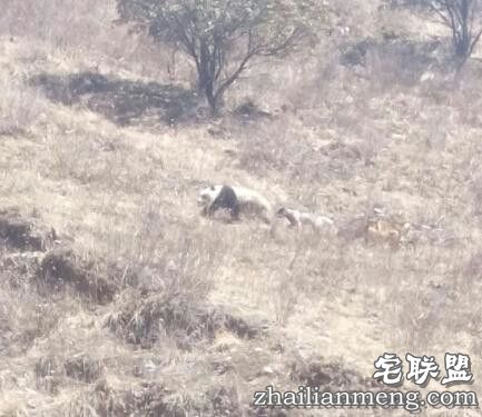 这下知道,不会撩妹的人强撩是什么体验了吧! 这下知道,不会撩妹的人强撩是什么体验了吧!