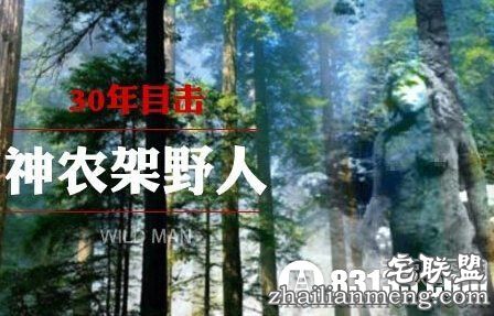 离山野人之谜:神农架出现不明毛发 离山野人之谜:神农架出现不明毛发