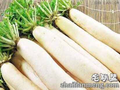 云南村民种出巨型萝:长1.2米 重约30斤 白萝卜的功效与作用 云南村民种出巨型萝:长1.2米 重约30斤 白萝卜的功效与作用