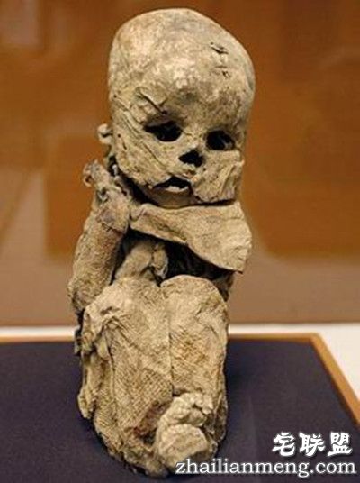 雪埋600年怀孕古尸产活女婴 胎儿活了72小时是真实的还是扯淡? 雪埋600年怀孕古尸产活女婴 胎儿活了72小时是真实的还是扯淡?