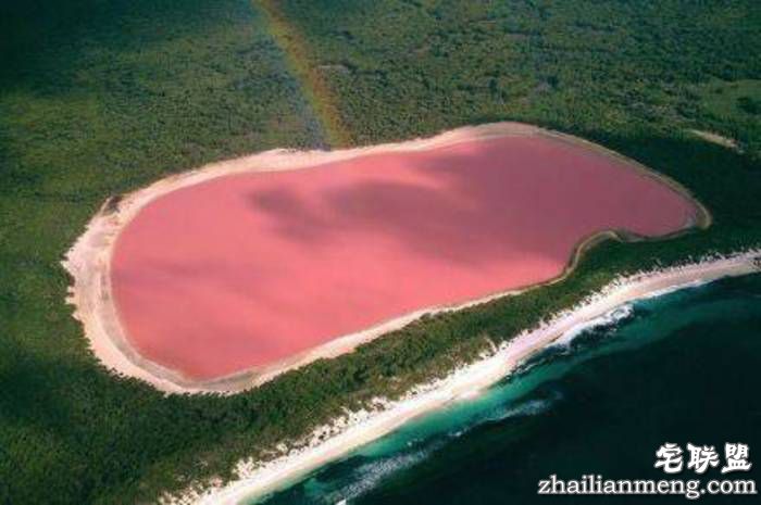 澳大利亚粉色希勒湖 世上最浪漫的风景圣地! 澳大利亚粉色希勒湖 世上最浪漫的风景圣地!