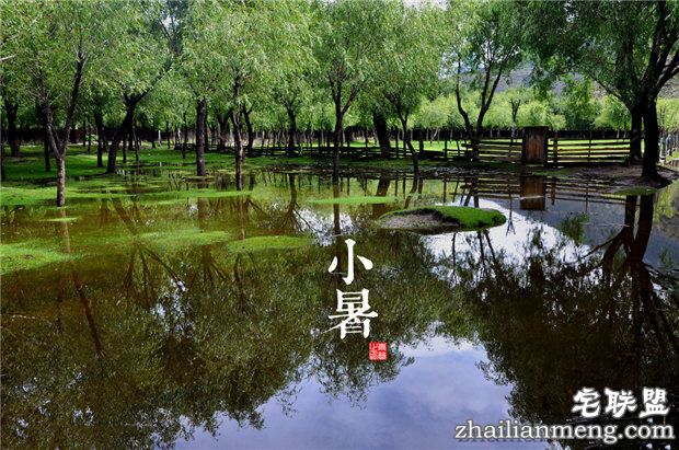 小暑节气谚语大全 句句是真理啊! 小暑节气谚语大全 句句是真理啊!