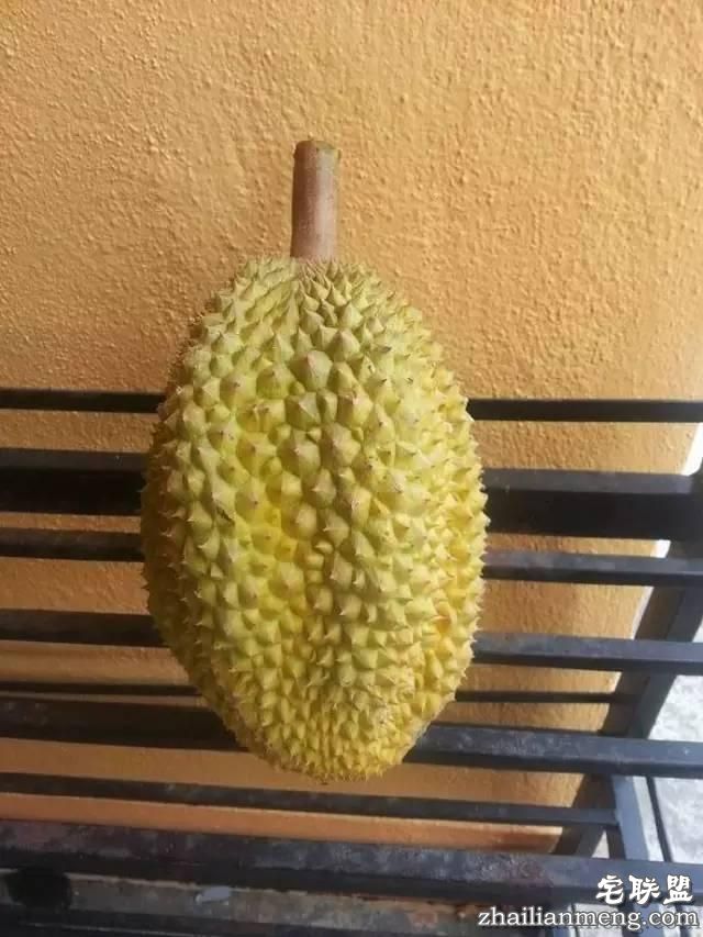 一哥们特别开心说,他花费7元就在网上买到了一个榴莲|呵呵