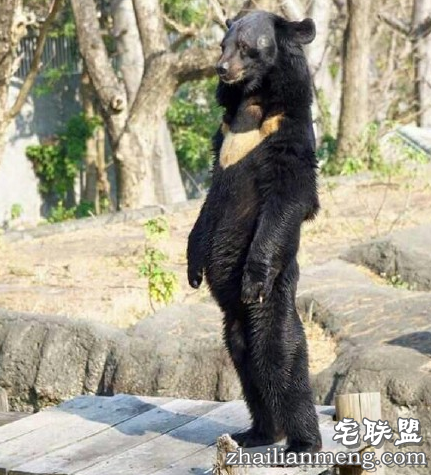 遭家暴30年不离婚,说:熬到打不动就好了。 遭家暴30年不离婚,说:熬到打不动就好了。