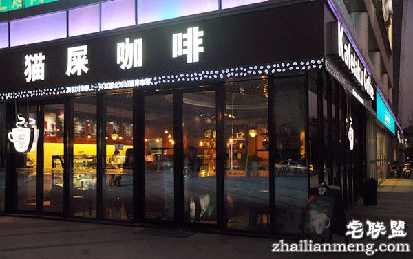 猫屎咖啡的由来 真是用猫屎做的吗? 猫屎咖啡的由来 真是用猫屎做的吗?