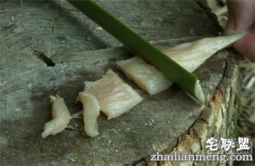 老外用竹子制作传说中的竹刀:最后的成品大家都惊讶了! 老外用竹子制作传说中的竹刀:最后的成品大家都惊讶了!