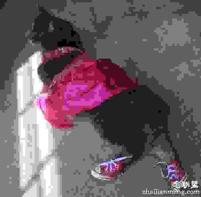 没有女伴用猫代替 美18岁男生携爱猫出席舞会 