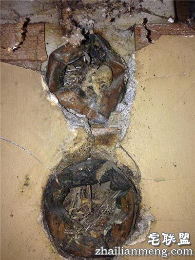 夫妻翻修厨房,没想到墙里的东西让他们直接吐了! 夫妻翻修厨房,没想到墙里的东西让他们直接吐了!