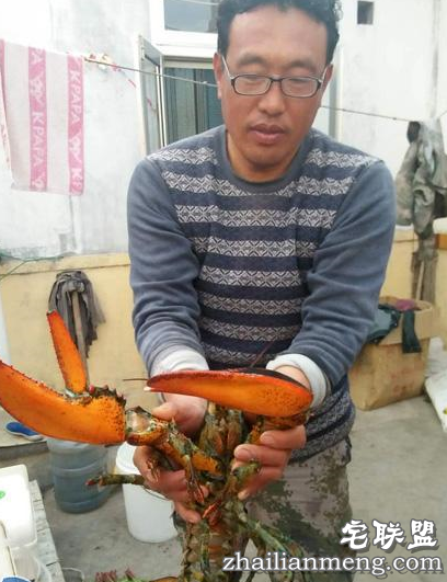 惊呆了!烟台现3.8斤大龙虾 90岁渔民称第一次见 惊呆了!烟台现3.8斤大龙虾 90岁渔民称第一次见