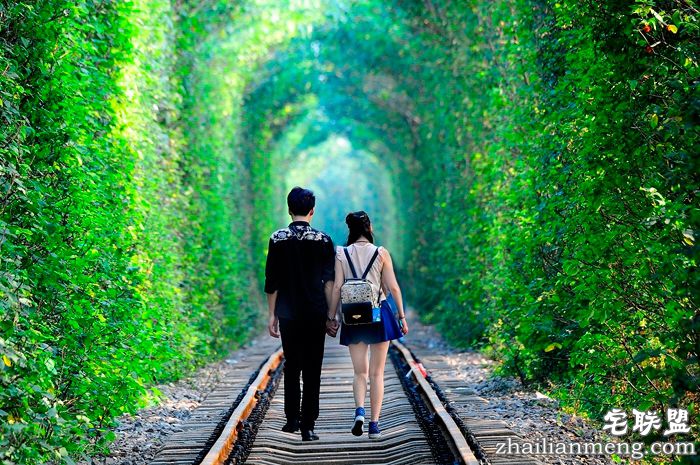 南京江宁的爱情隧道美翻了,不去后悔! 南京江宁的爱情隧道美翻了,不去后悔!